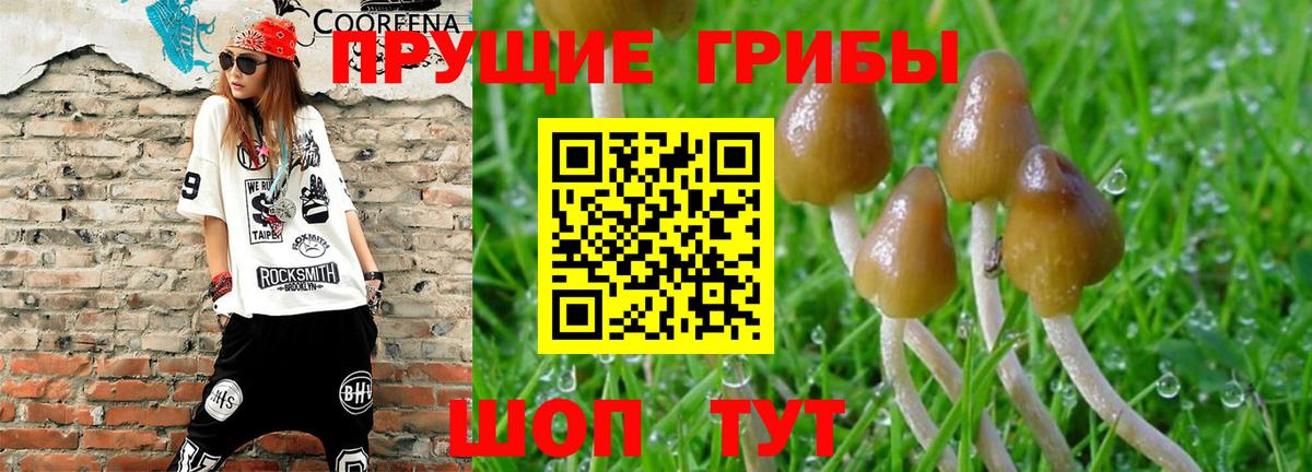 Углич  Псилоцибиновые грибы мицелий  Вход с VPN 